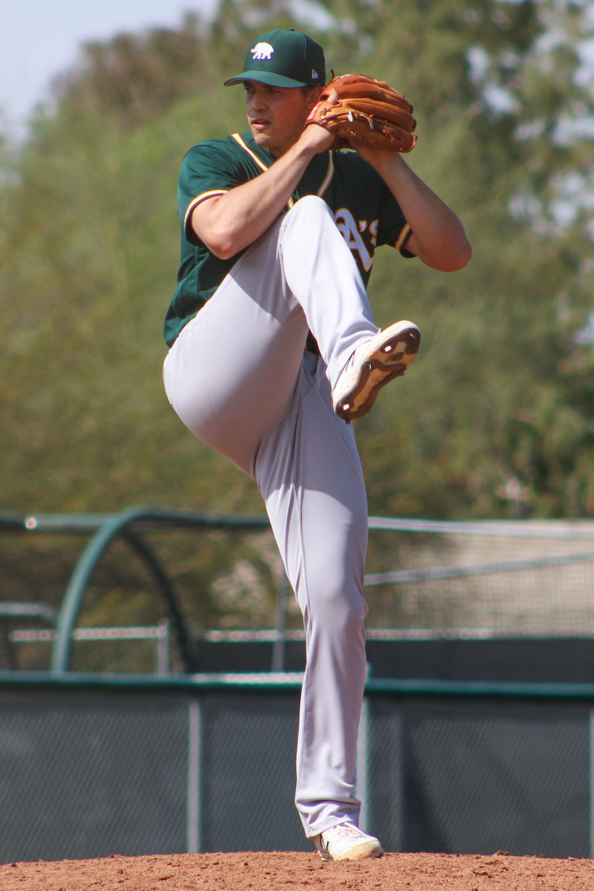 Kyle Lobstein